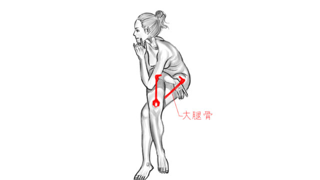 骨格を知る 脚や腕を組む姿勢 こめあとむブログ ドローイング デッサン イラスト